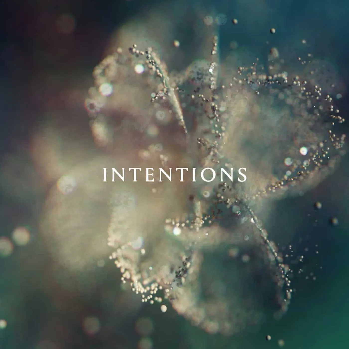 ANNA  INTENTIONS Vinyl Record