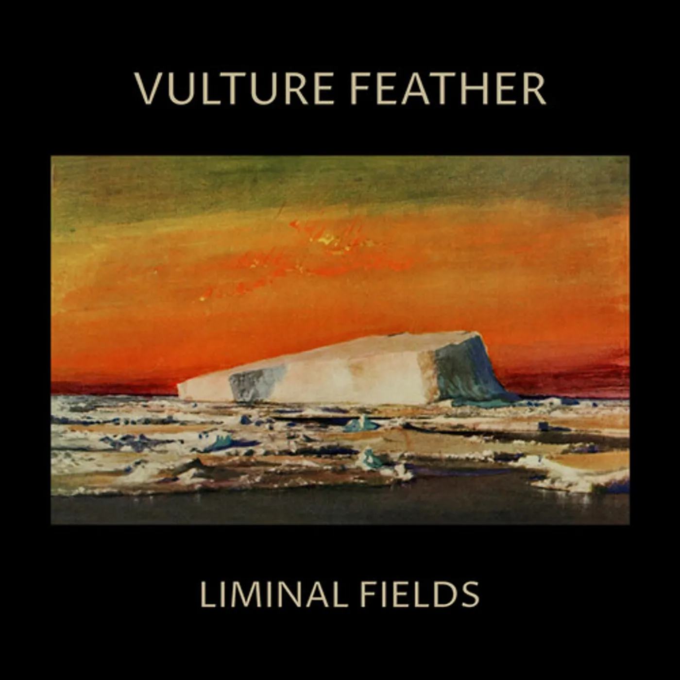 VULTURE FEATHER - BONE Vinyl Record