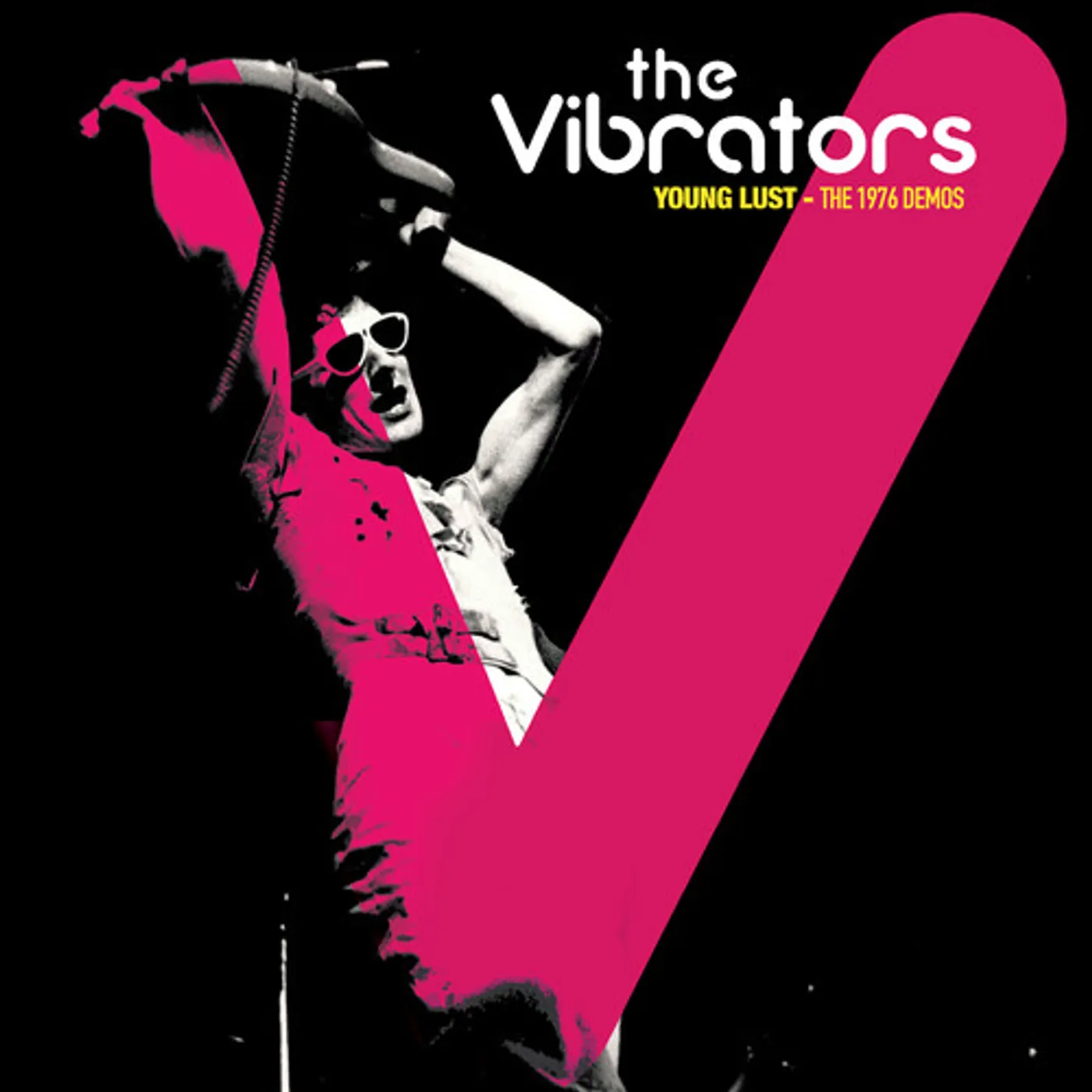 The Vibrators DEMOS 1976 Vinyl Record