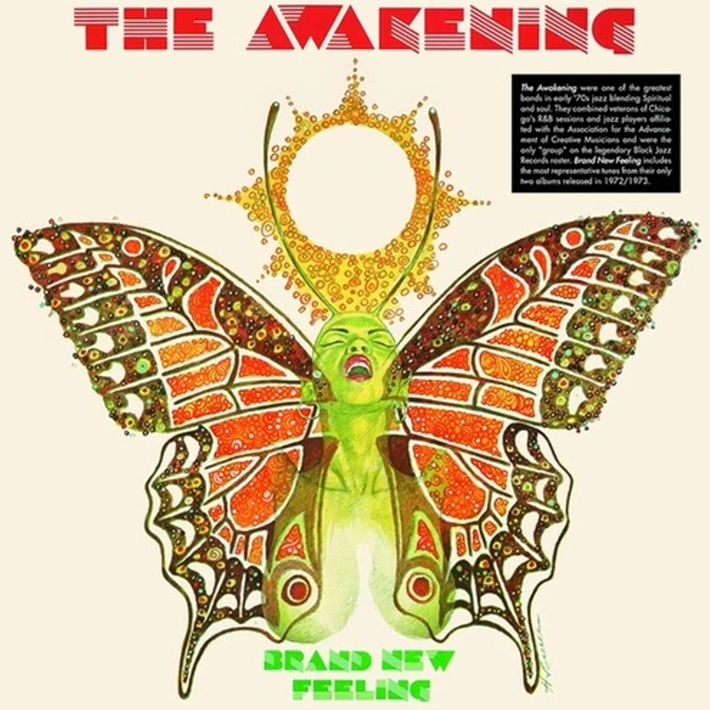 The Awakening BRAND NEW FEELING Vinyl Record