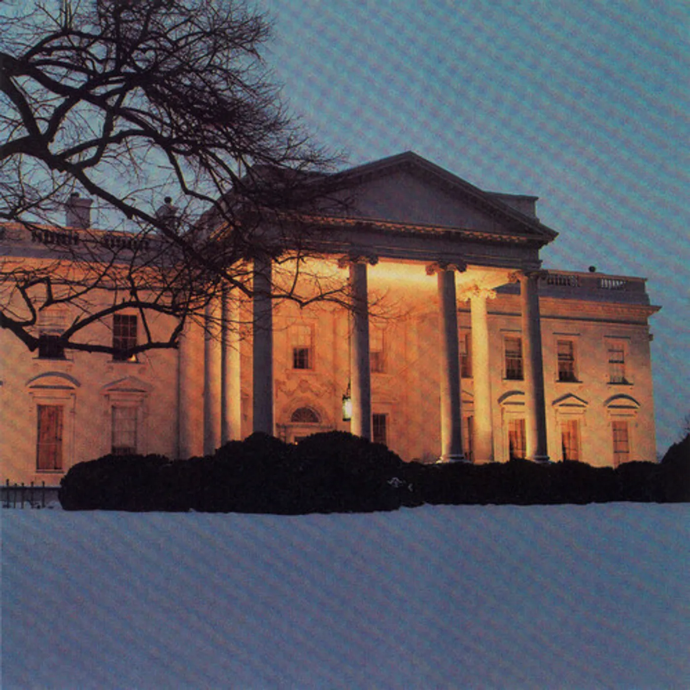 The Dead C WHITE HOUSE Vinyl Record