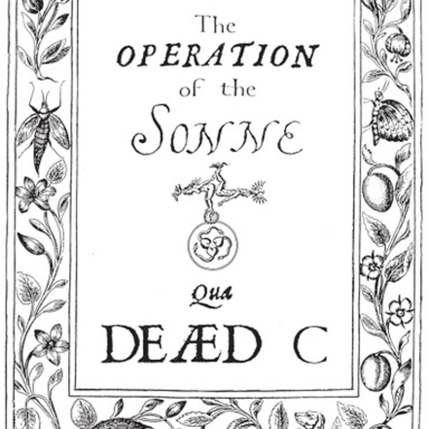 The Dead C OPERATION OF THE SONNE Vinyl Record