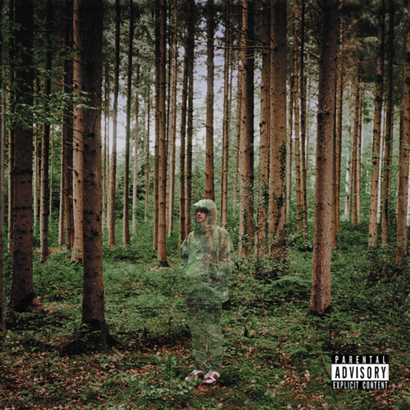 grandson I LOVE YOU, I'M TRYING CD