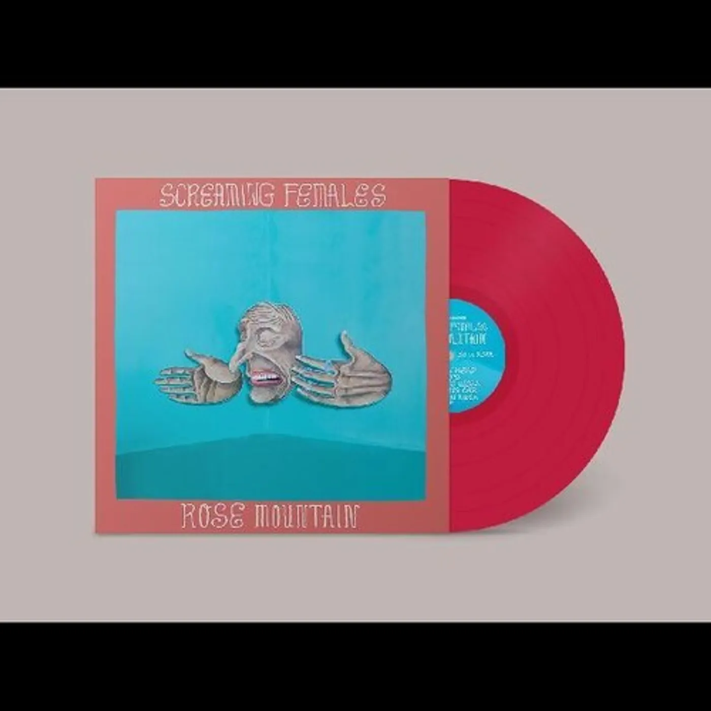 Screaming Females Rose Mountain Vinyl Record
