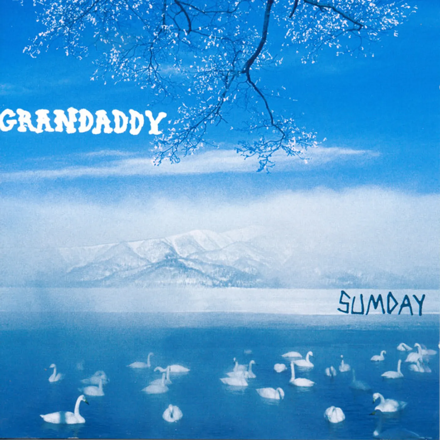Grandaddy Sumday (2LP/White) Vinyl Record