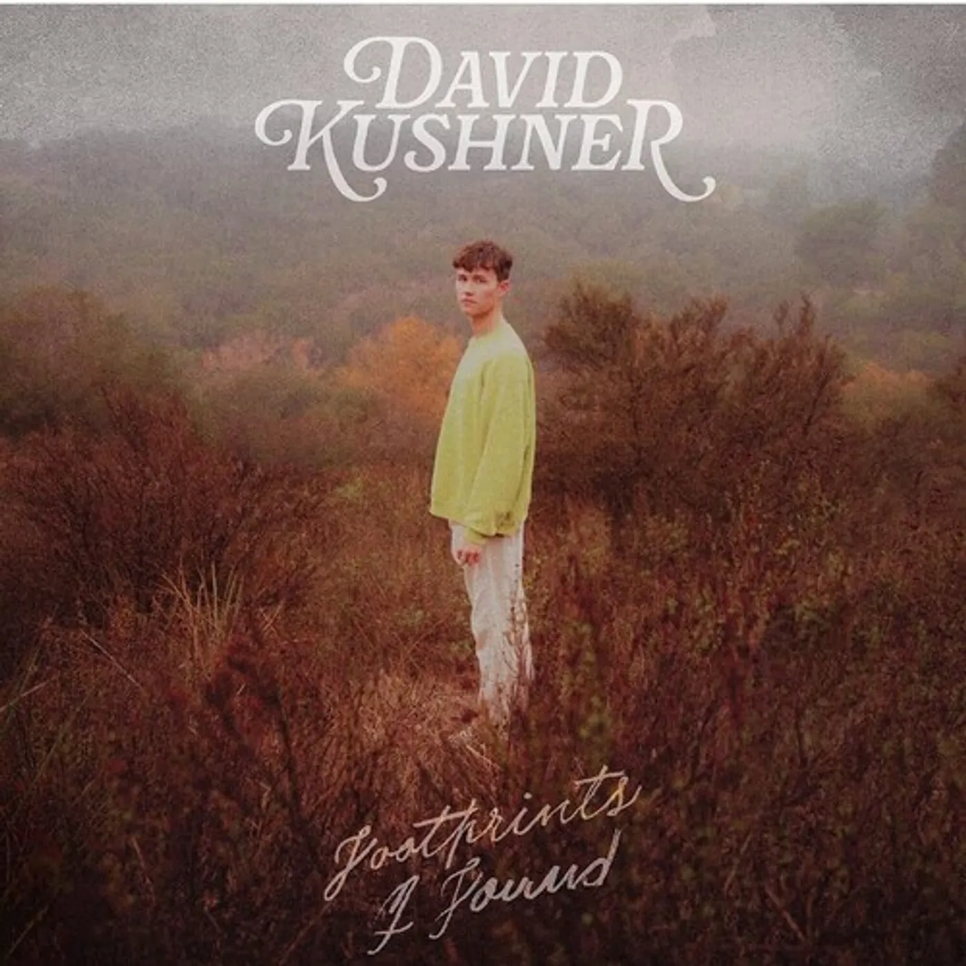 David Kushner Footprints I Found Vinyl Record