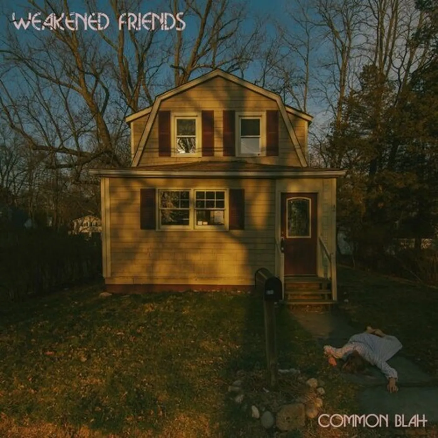 Weakened Friends COMMON BLAH Vinyl Record
