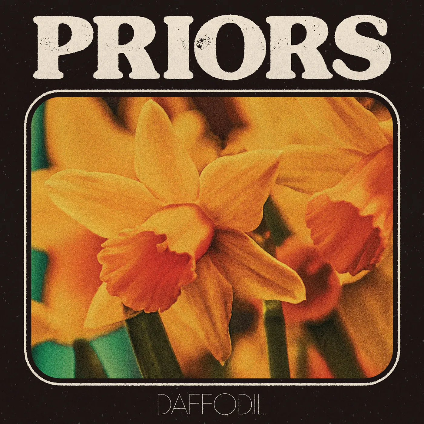 Priors DAFFODIL Vinyl Record