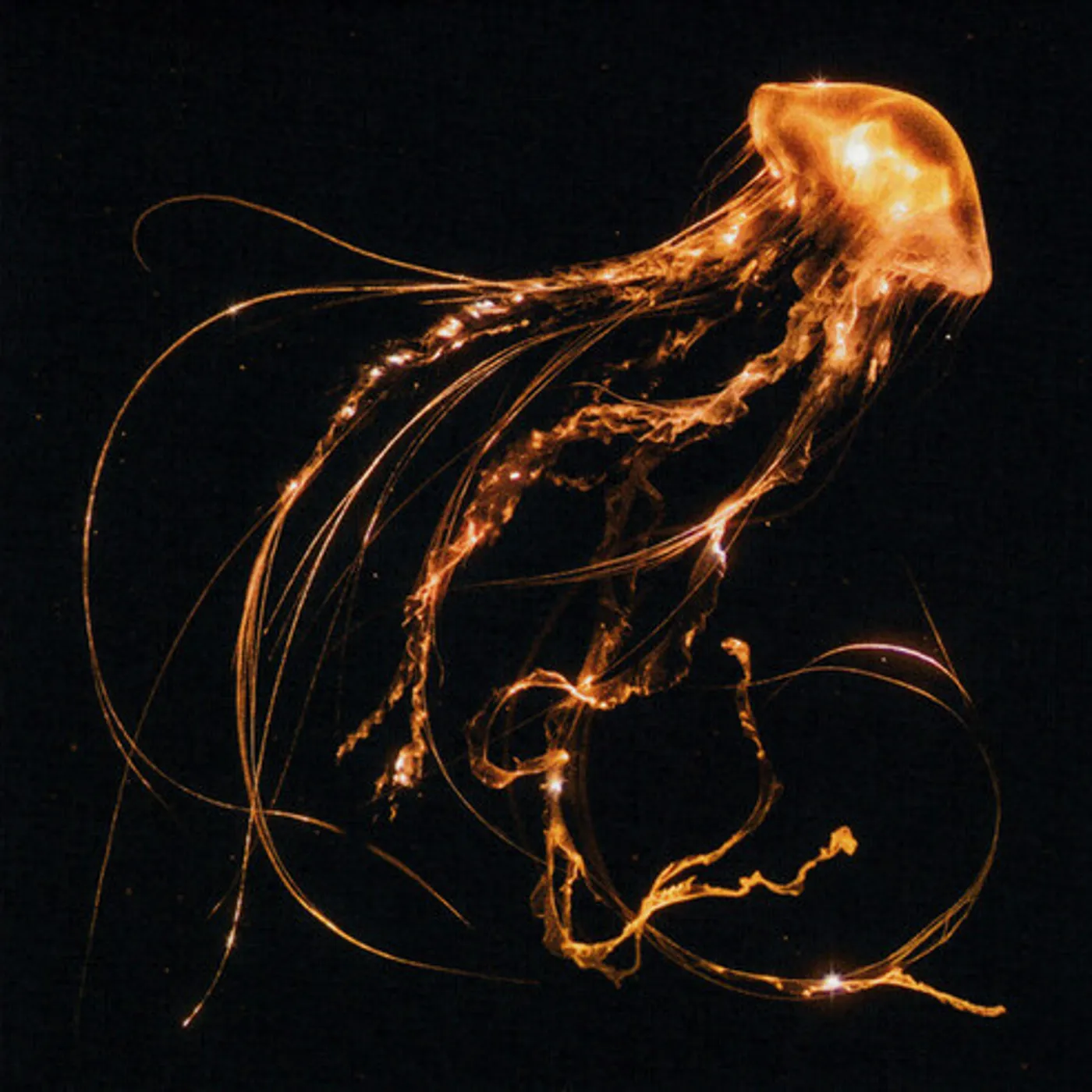 Royal Blood BACK TO THE WATER BELOW CD