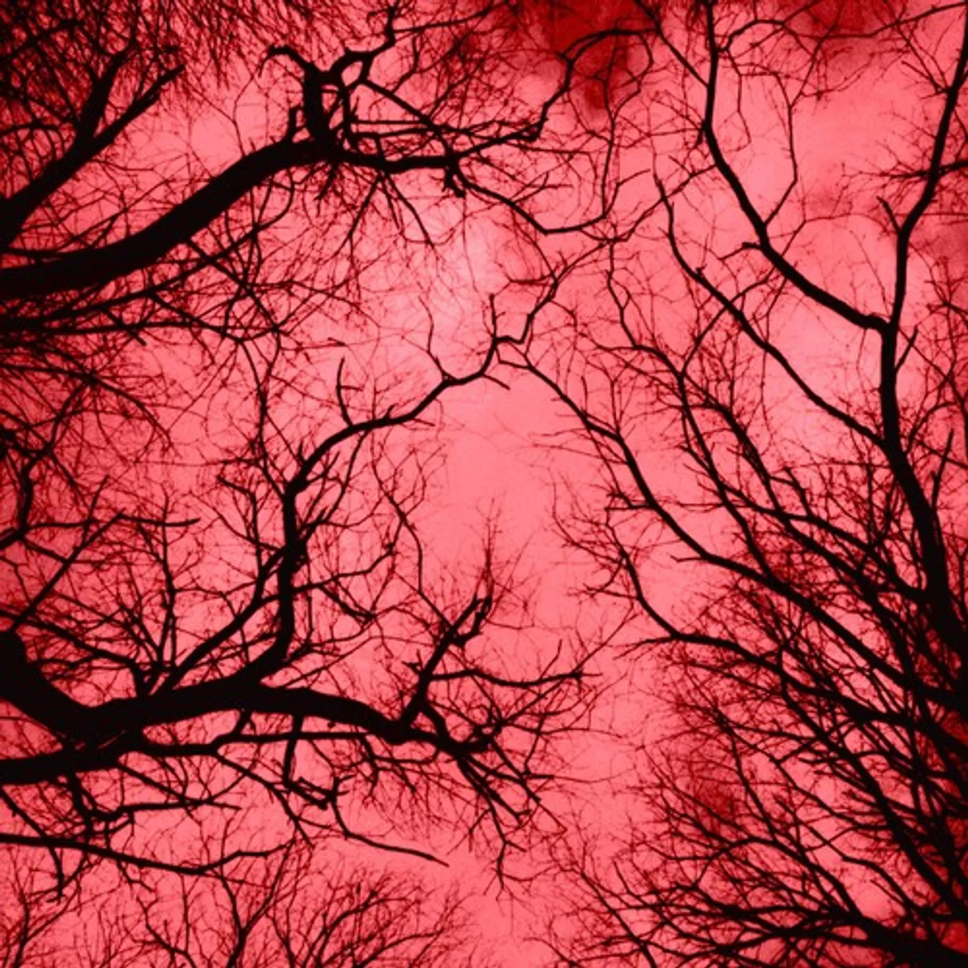 Marco Colonna RED PLANET CD