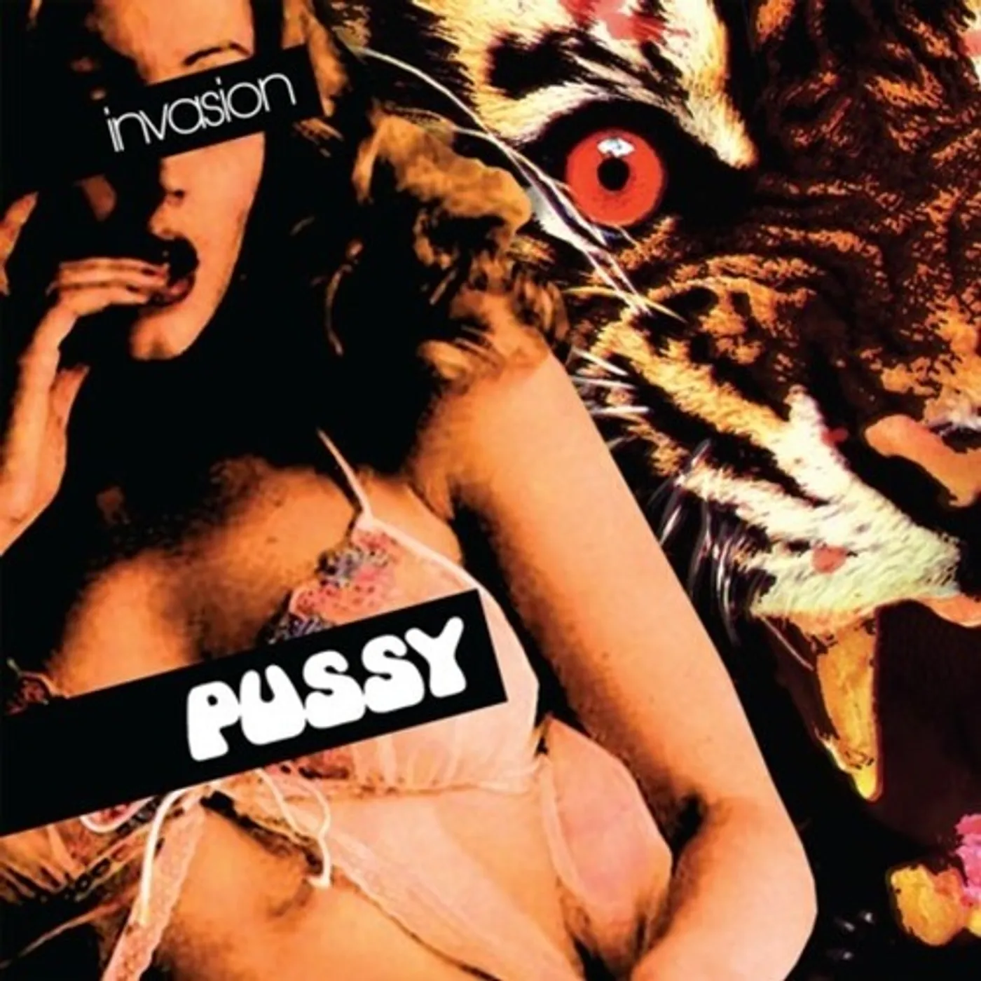 Pussy INVASION Vinyl Record