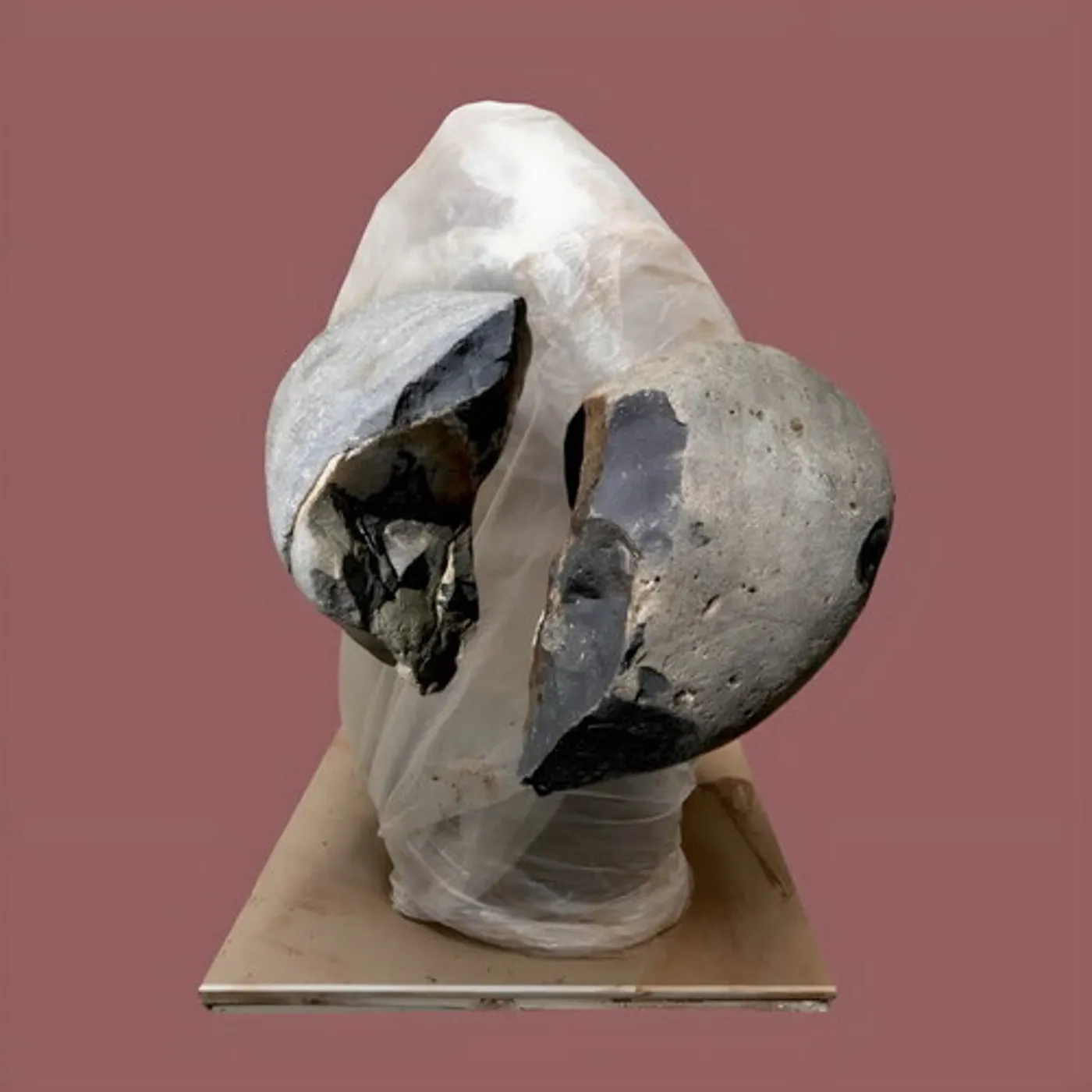 Rrose PLEASE TOUCH Vinyl Record