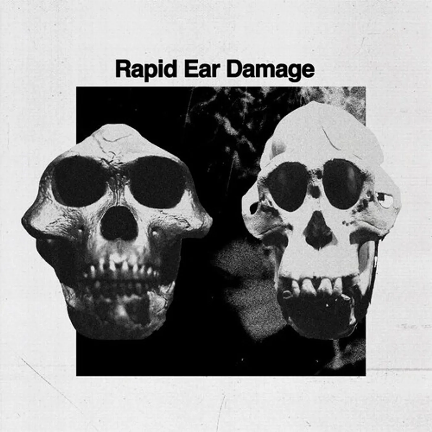 Rapid Ear Damage R.E.D. Vinyl Record