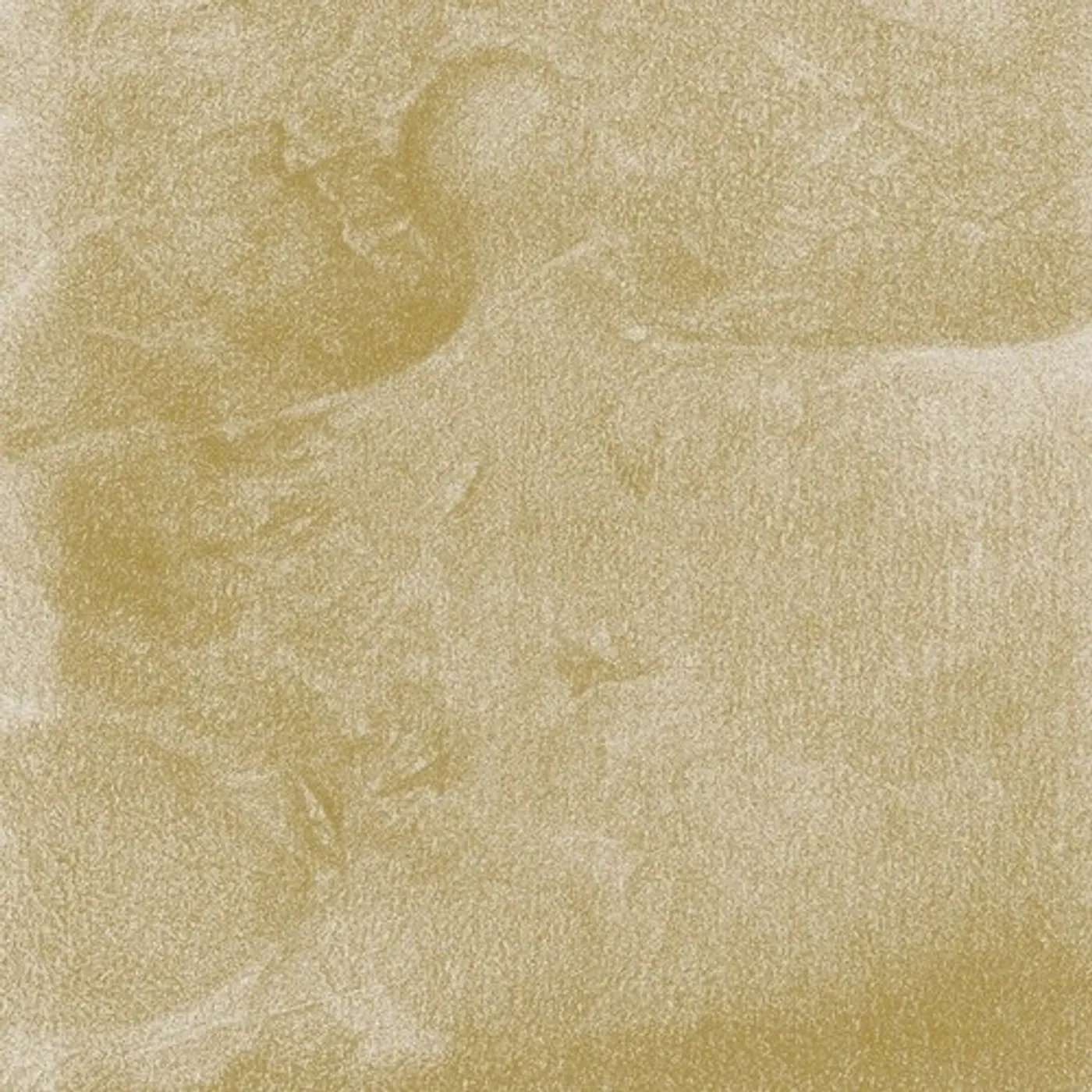 Siavash Amini EIDOLON CD