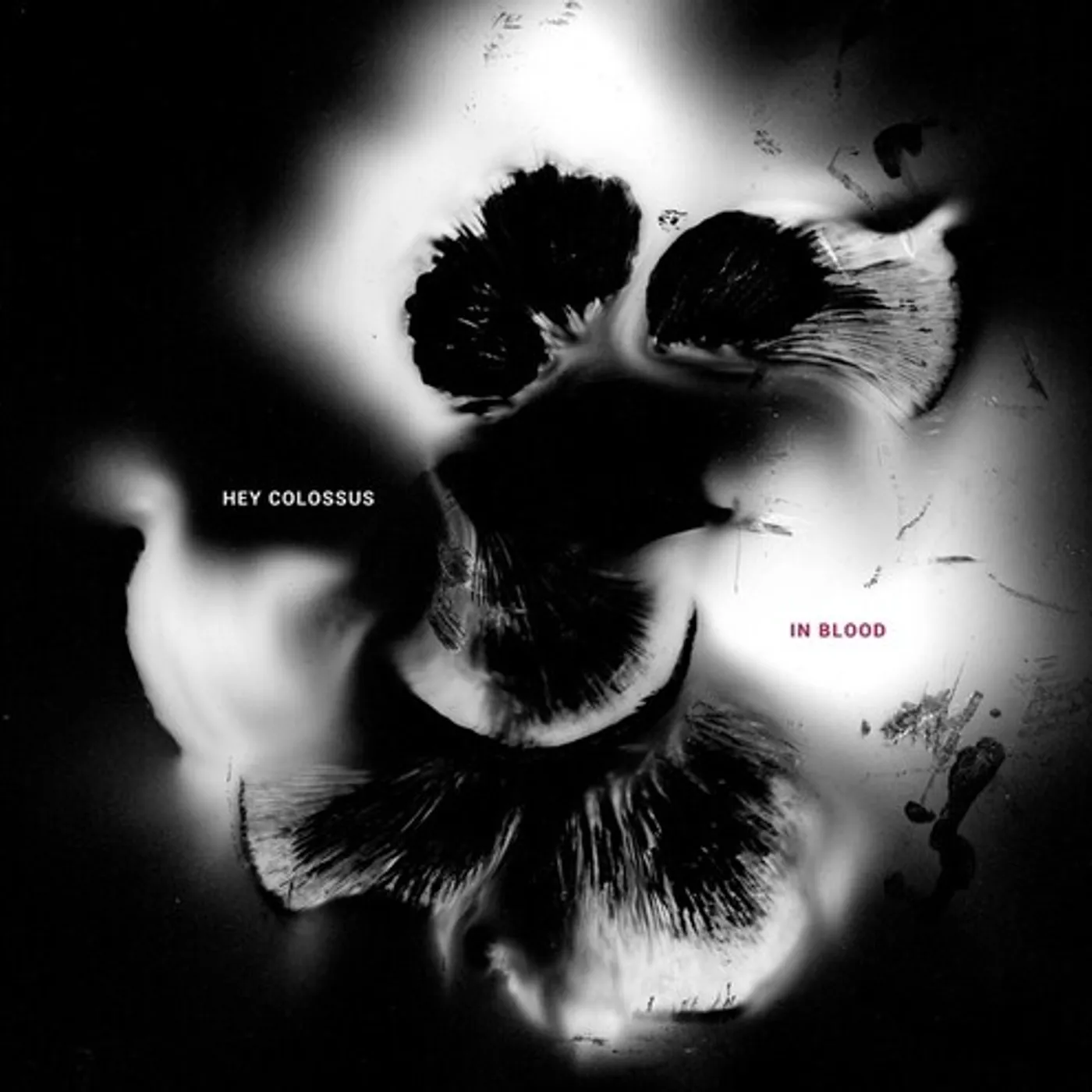 Hey Colossus IN BLOOD CD