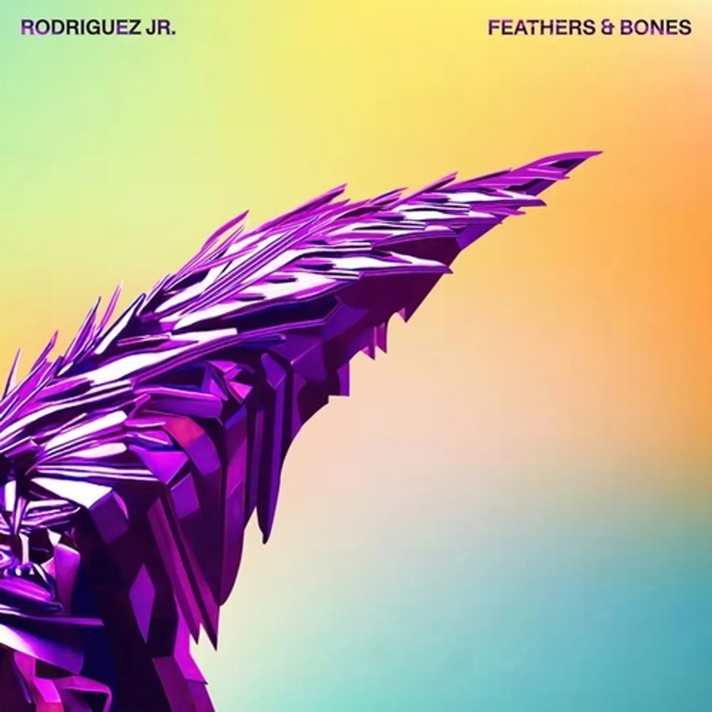 Rodriguez Jr. FEATHERS & BONES Vinyl Record