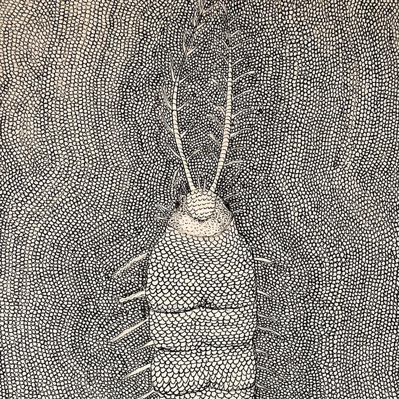 Daniel Melero QUALIA 2 MICROGRAFIA Vinyl Record