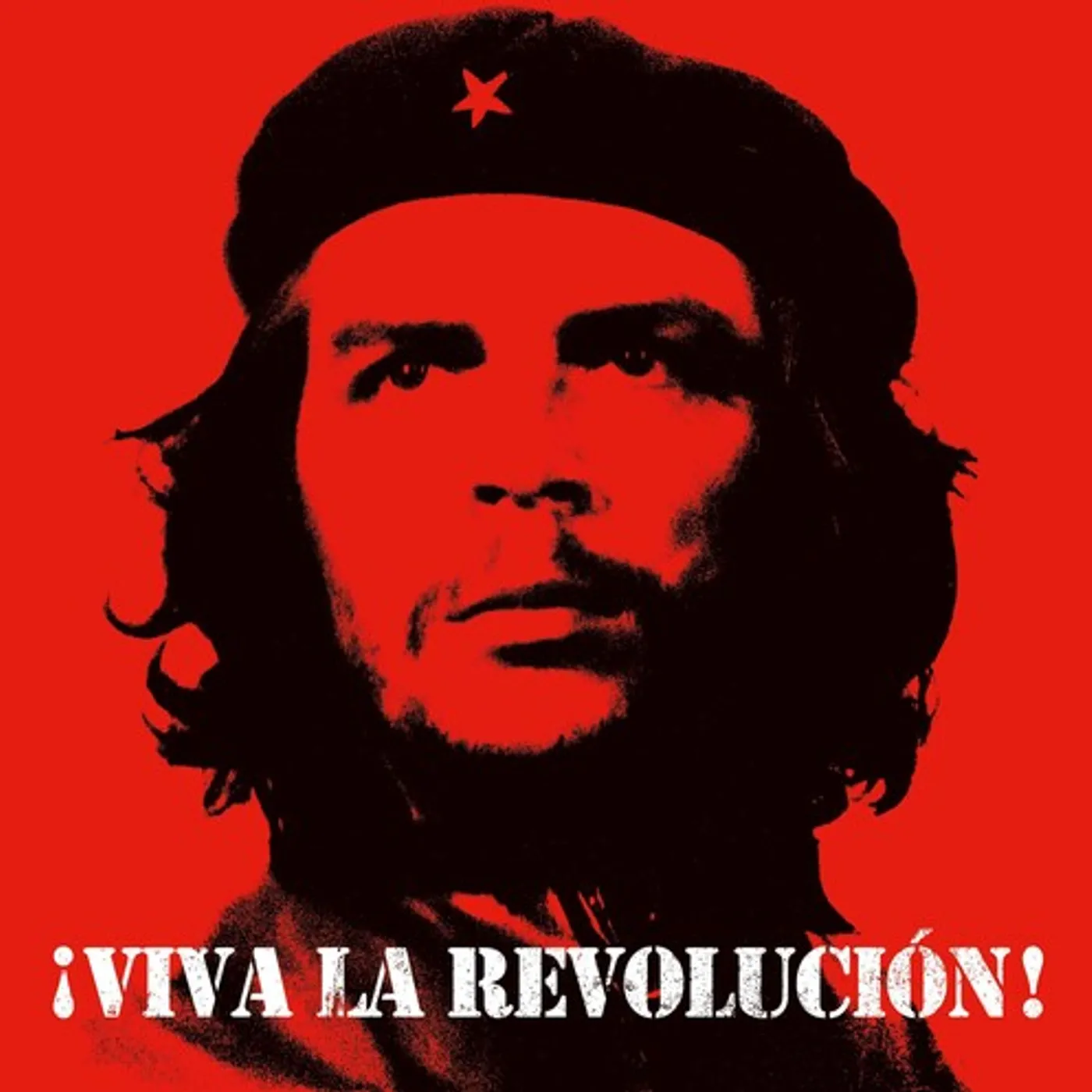 VIVA LA REVOLUCION / VARIOUS Vinyl Record