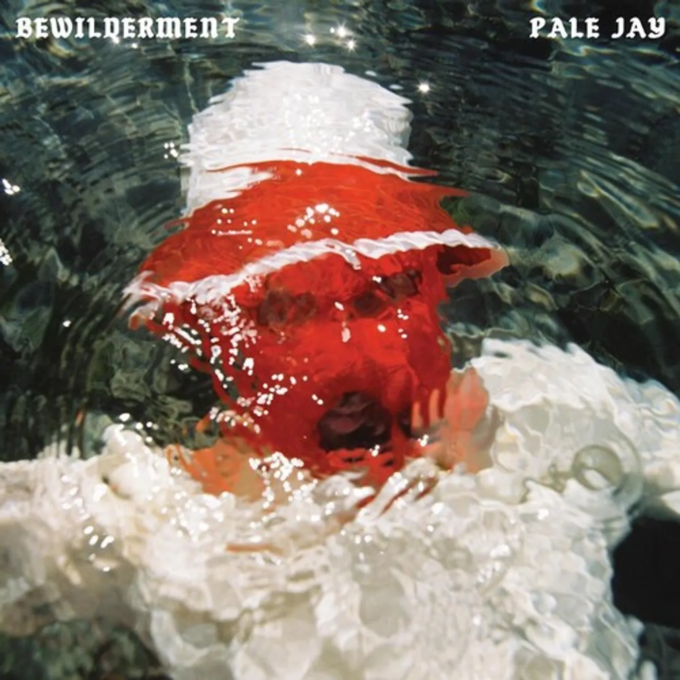 Pale Jay BEWILDERMENT CD