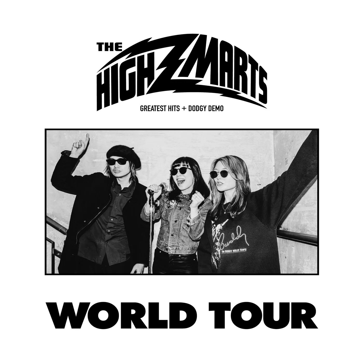 The Highmarts WORLD TOUR: GREATEST HITS & DODGY DEMO Vinyl Record