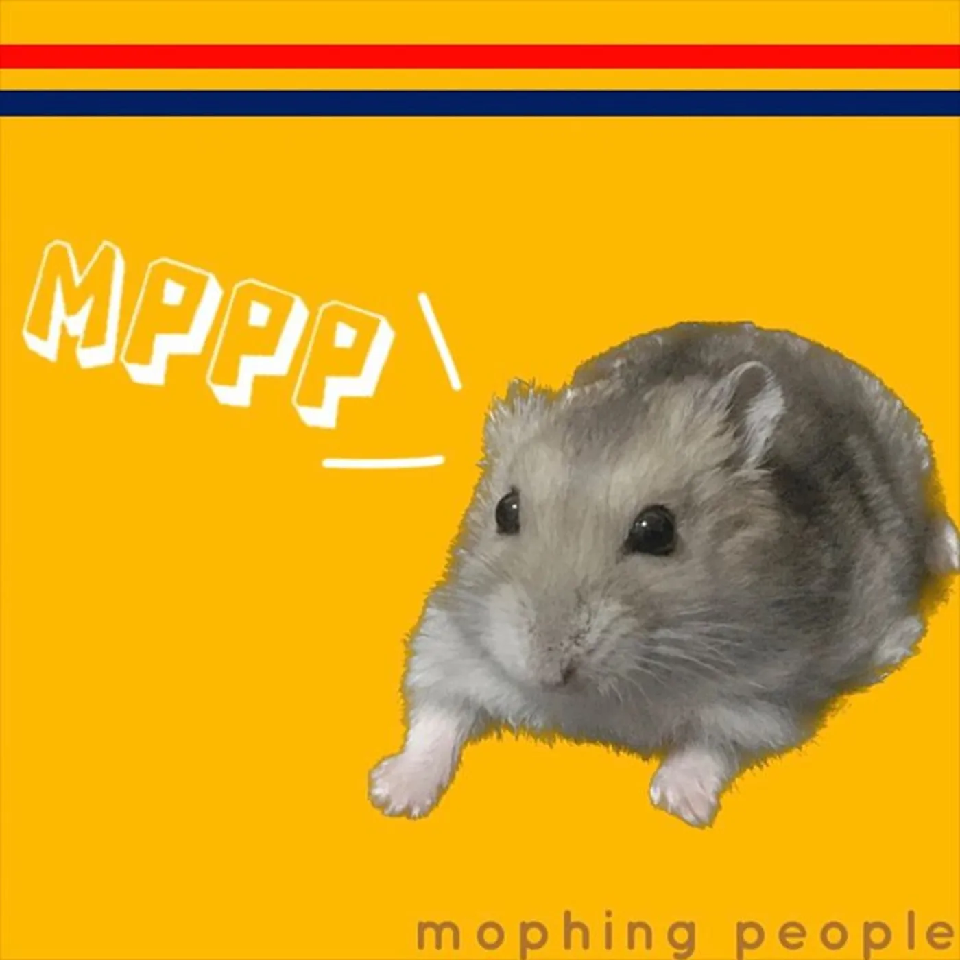 mophing people MPPP Vinyl Record