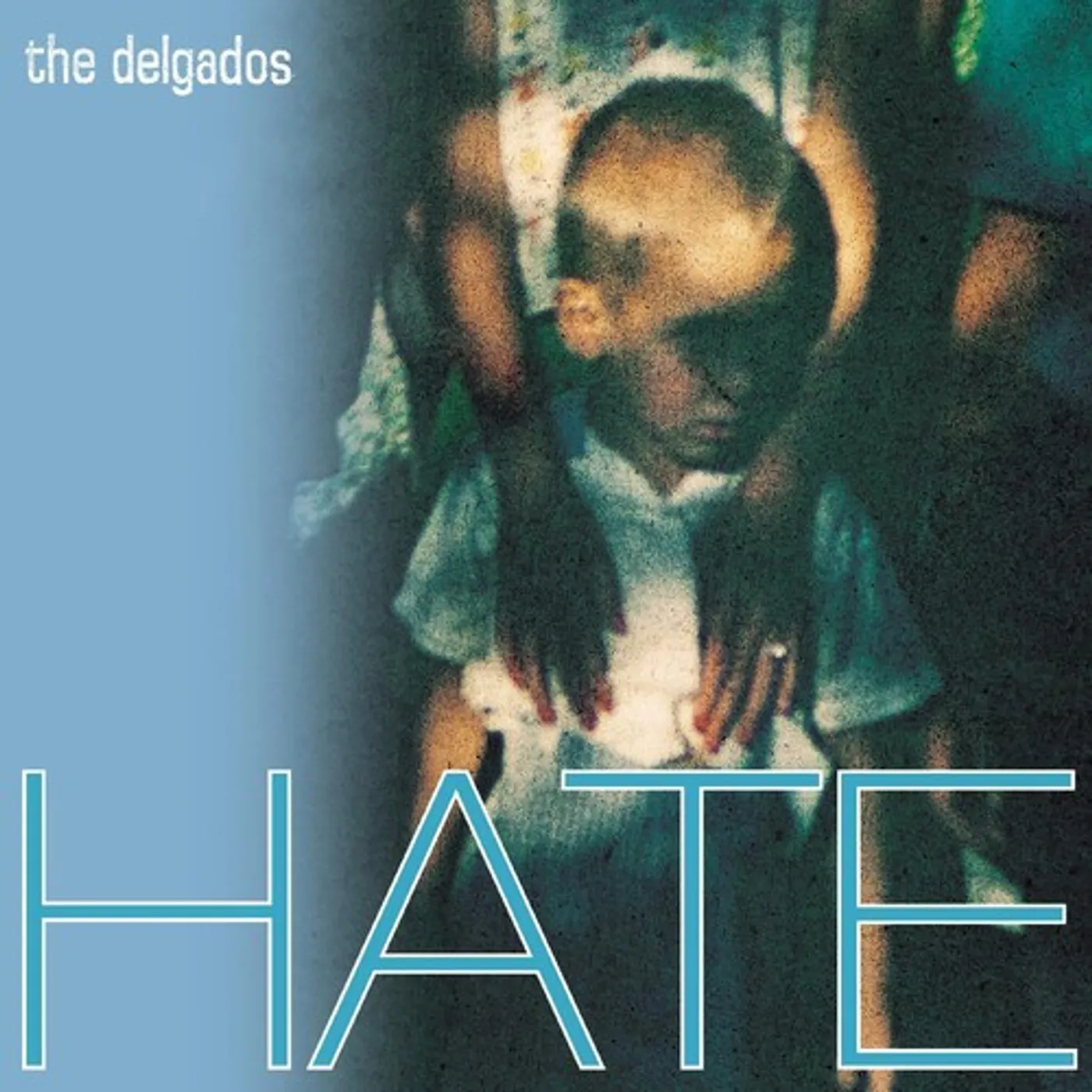 The Delgados HATE CD