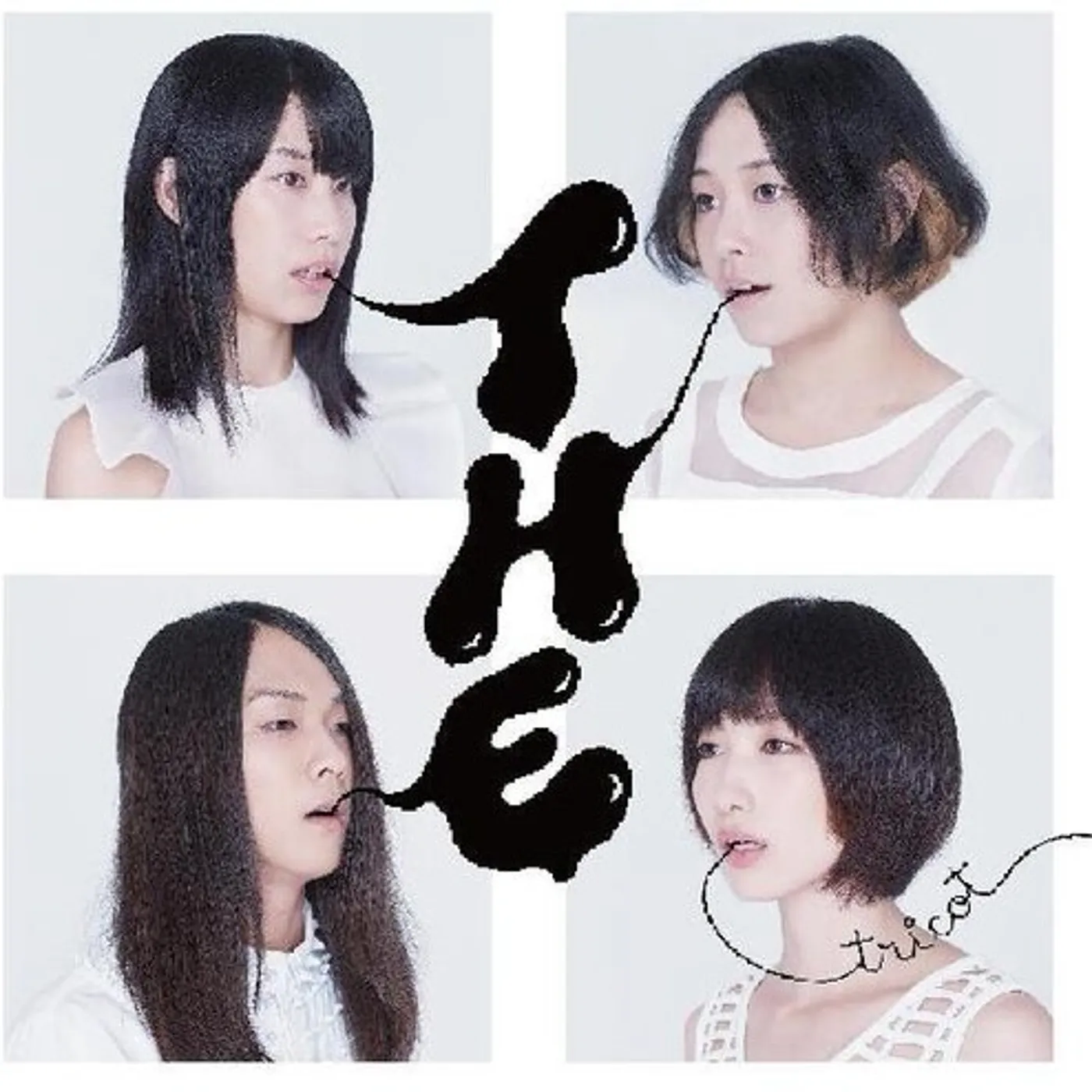 tricot T H E Vinyl Record