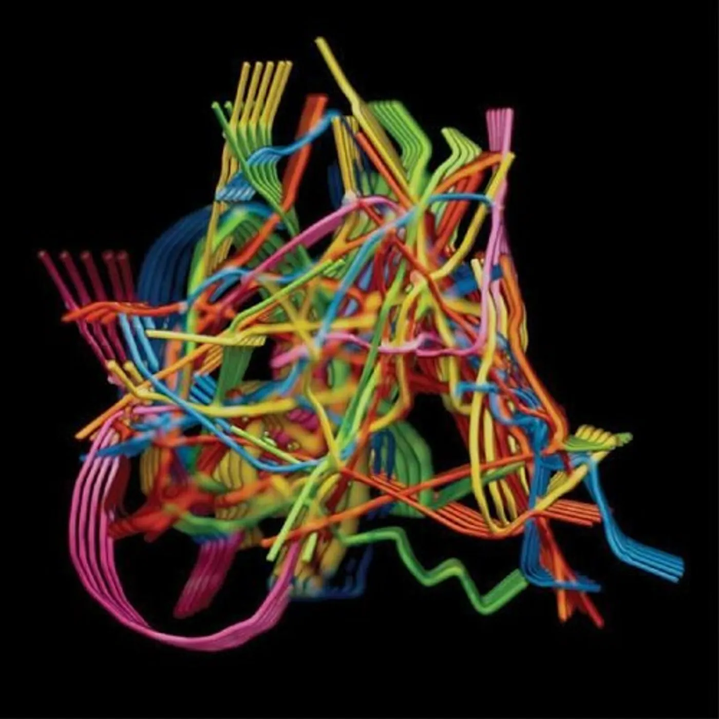 Dustin Wong PERPETUAL MORPHOSIS CD