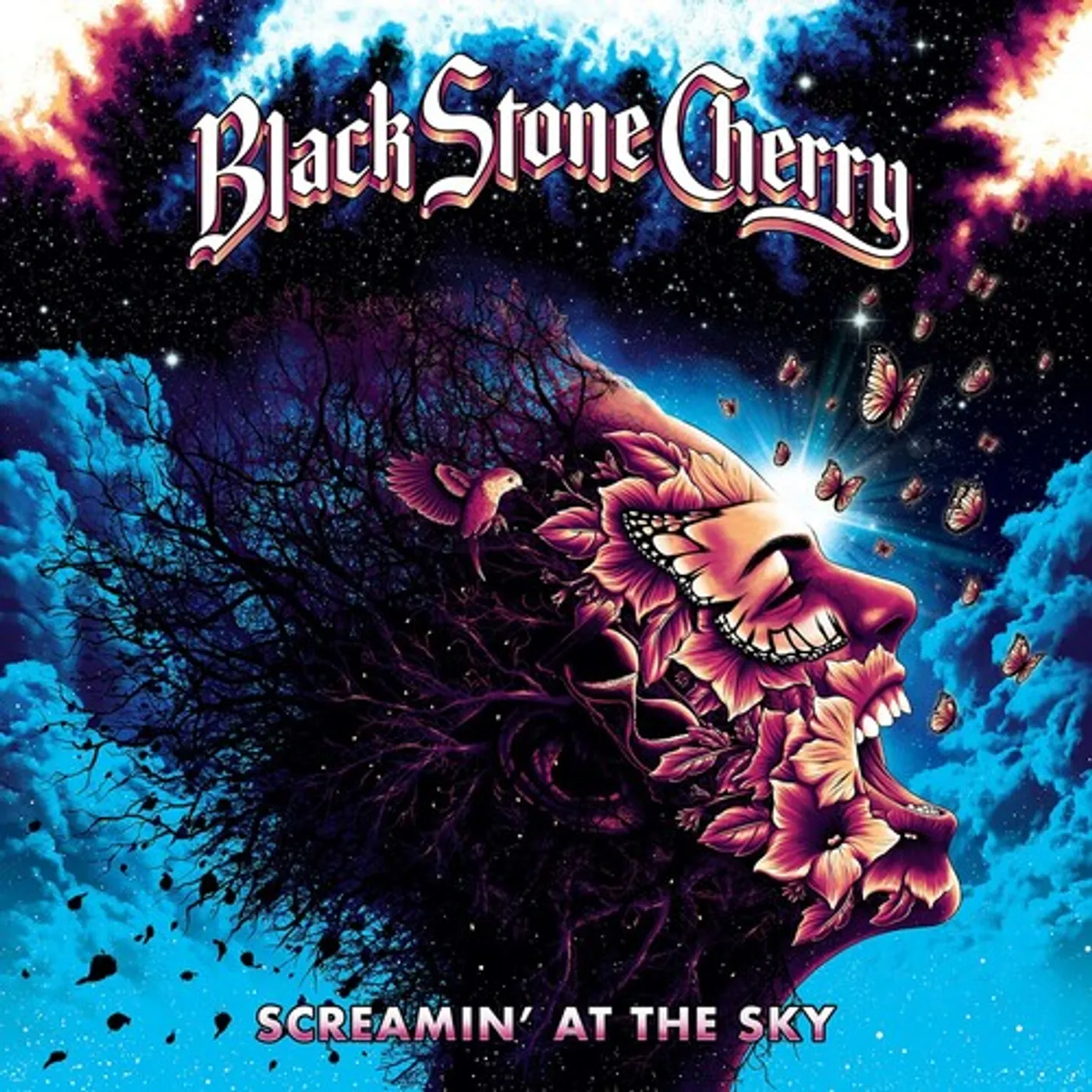 Black Stone Cherry SCREAMIN' AT THE SKY CD