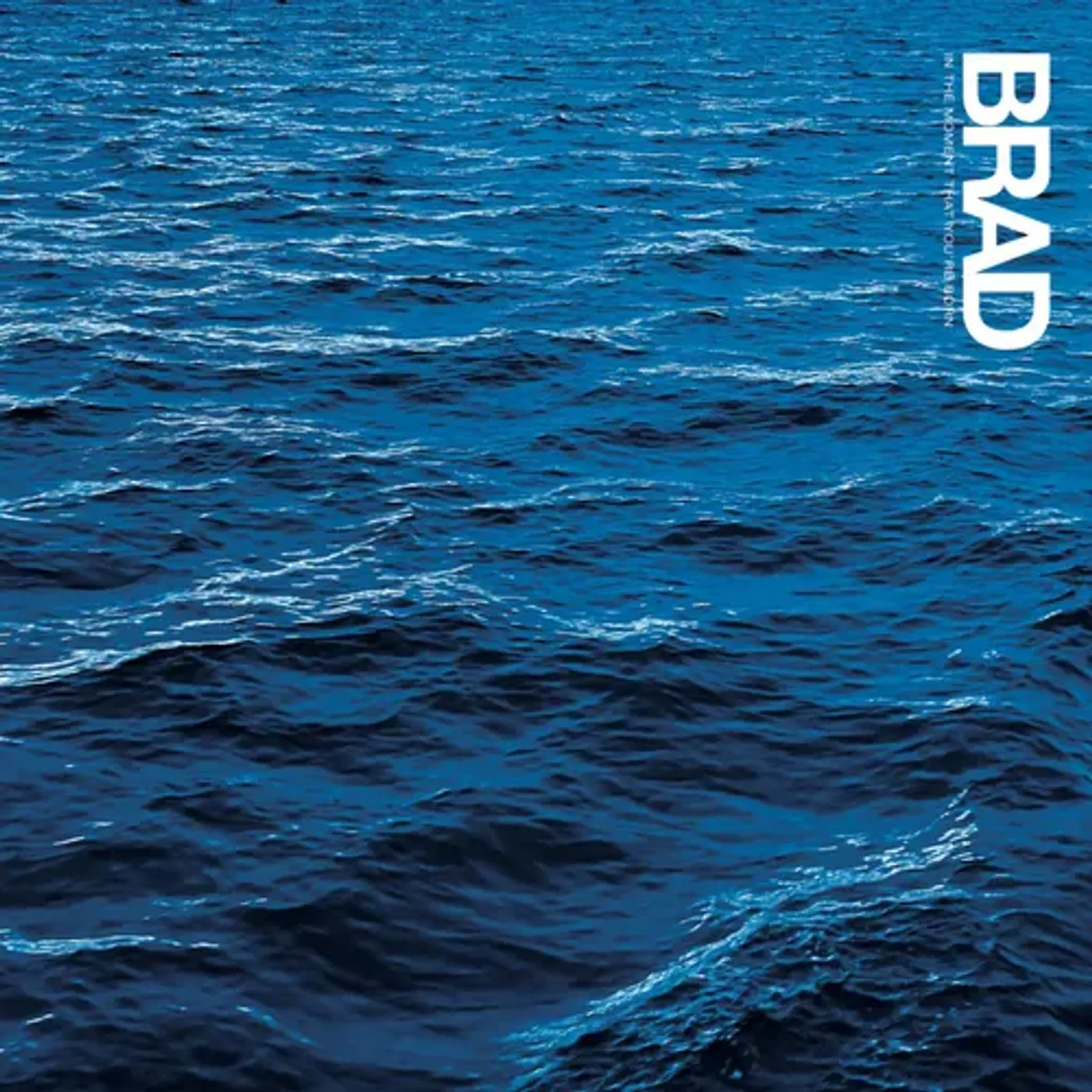 Brad In The Moment That You're Born Vinyl Record