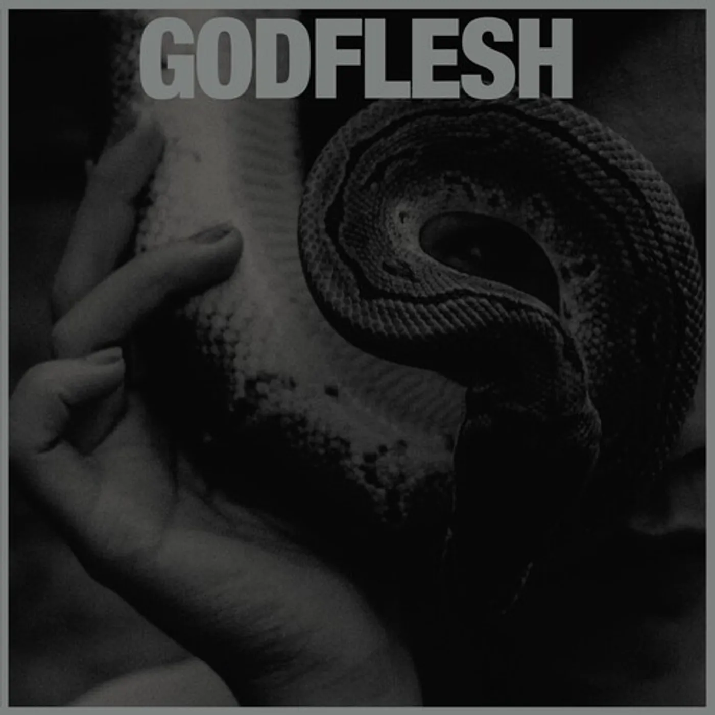 Godflesh PURGE Vinyl Record