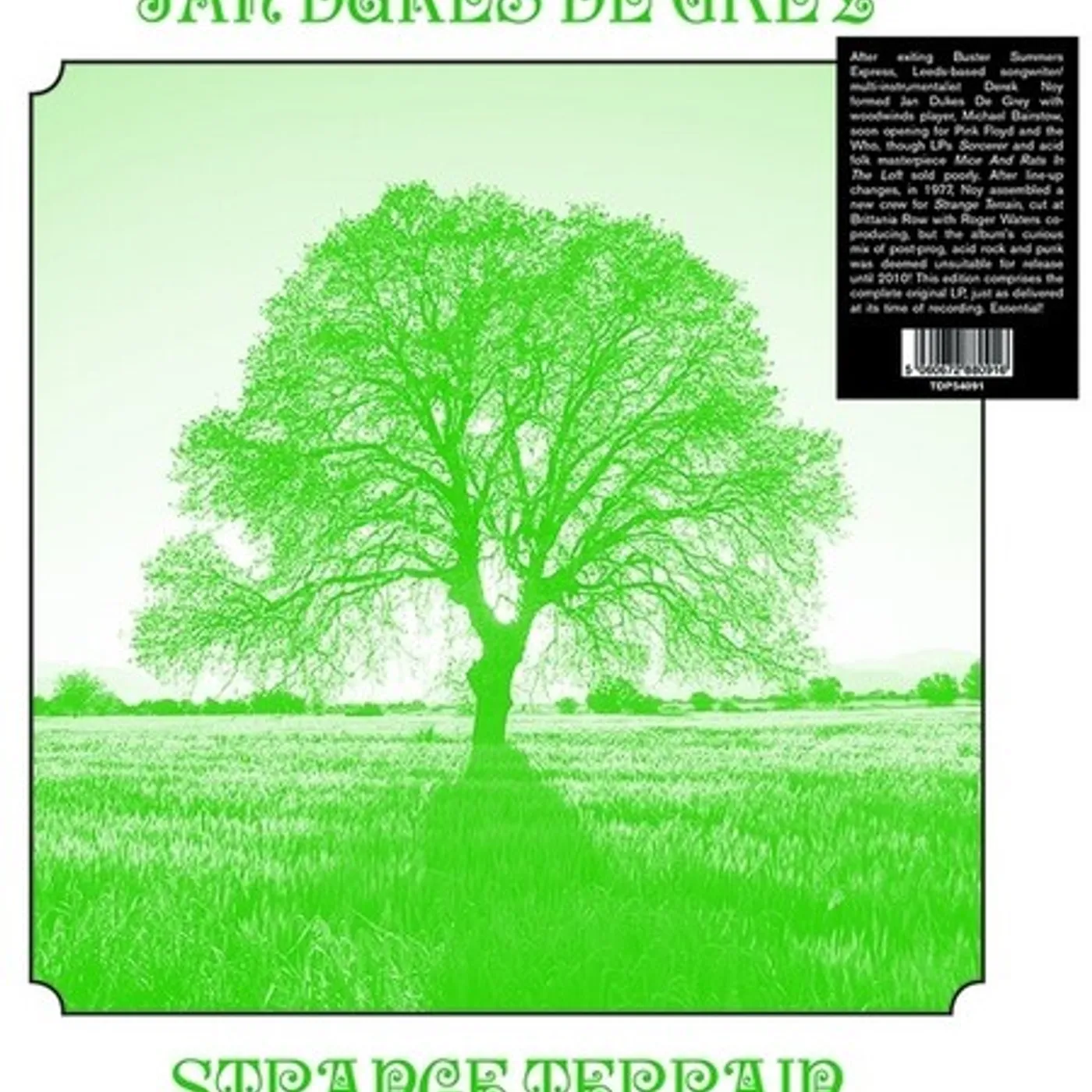 Jan Dukes De Grey Strange Terrain Vinyl Record