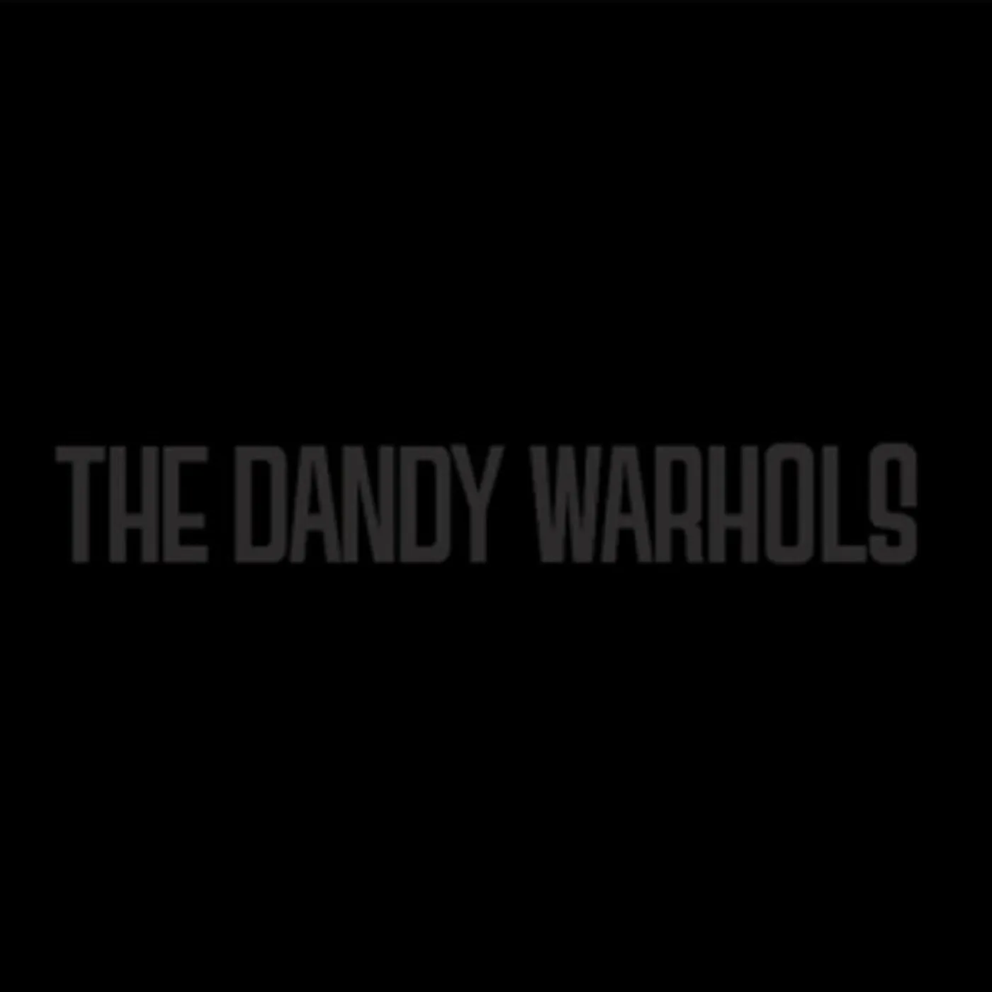 The Dandy Warhols BLACK ALBUM Vinyl Record