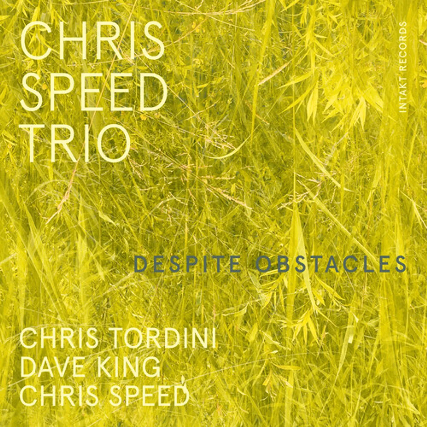 Chris Speed DESPITE OBSTACLES CD