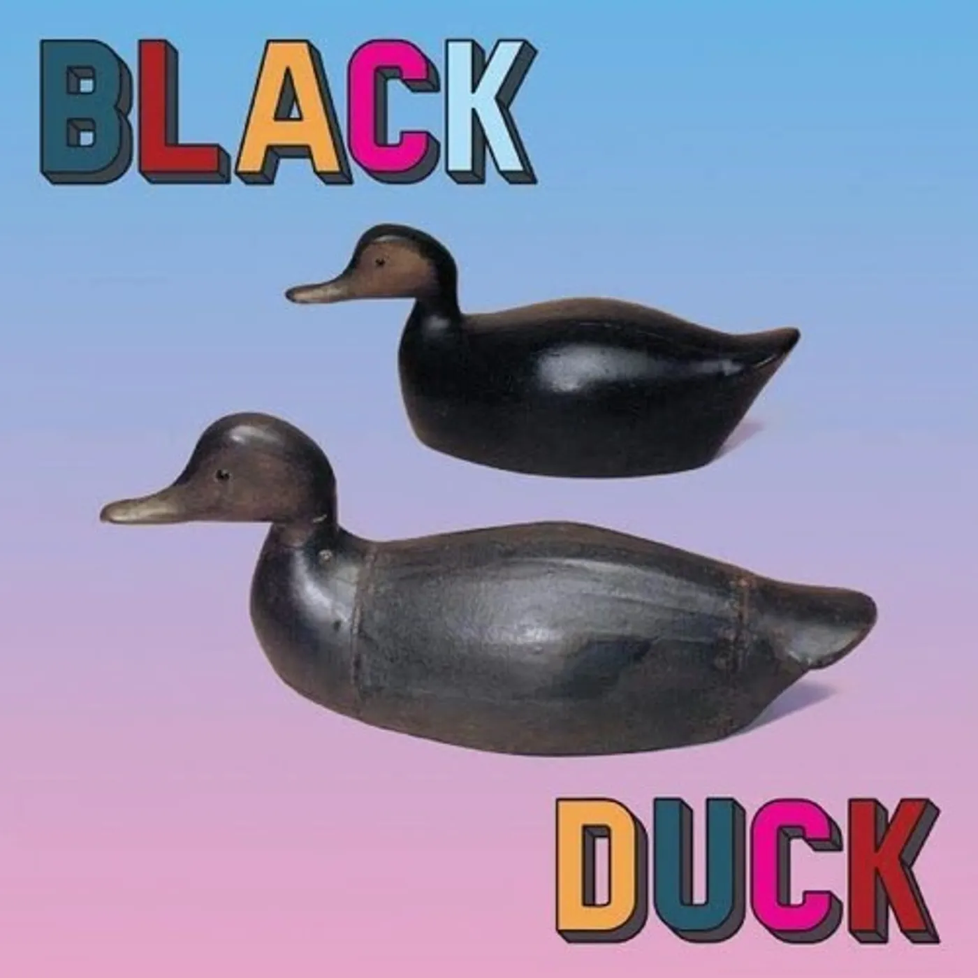 BLACK DUCK Vinyl Record