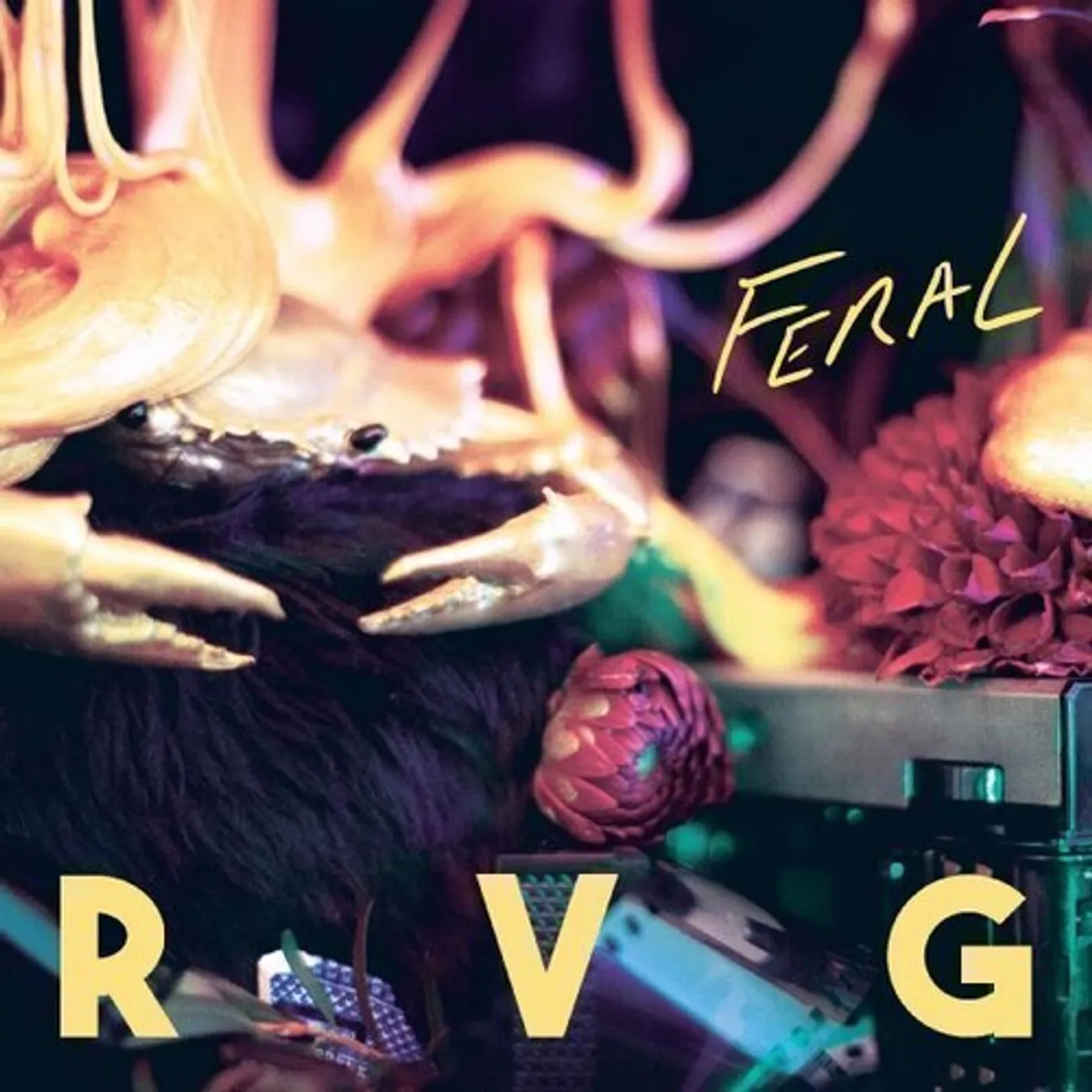 RVG FERAL Vinyl Record