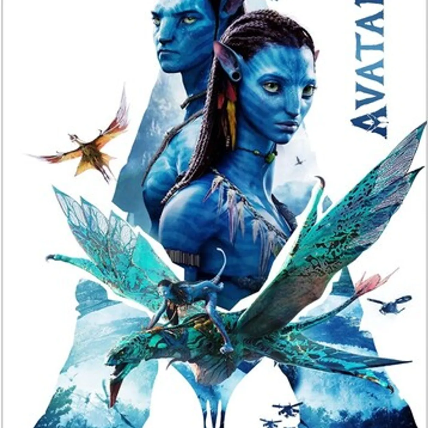 AVATAR DVD