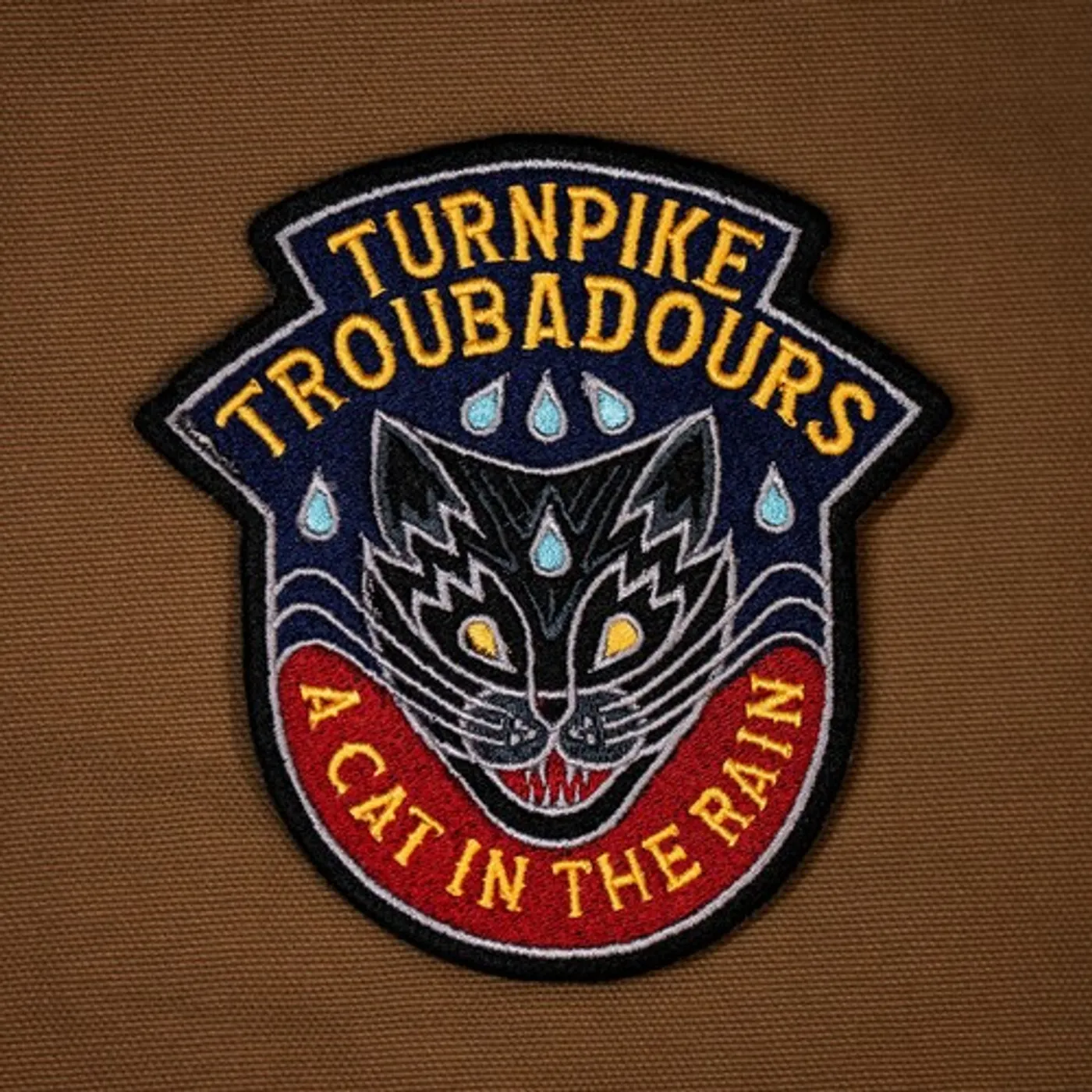 Turnpike Troubadours CAT IN THE RAIN CD