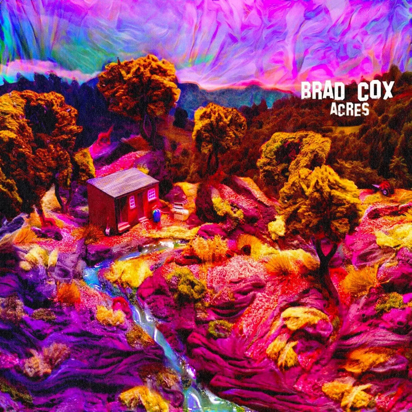 Brad Cox ACRES Vinyl Record