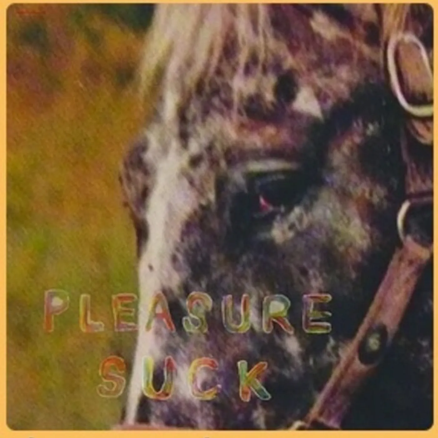 SPIRIT OF THE BEEHIVE Pleasure Suck Vinyl Record