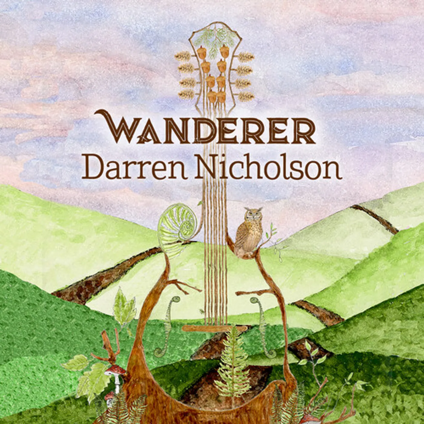 Darren Nicholson WANDERER CD