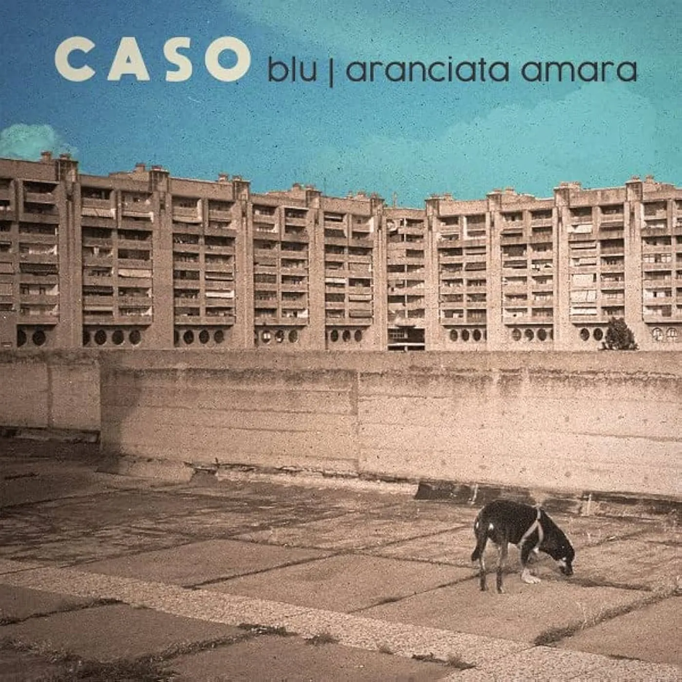 Caso BLU ARANCIATA AMARA Vinyl Record