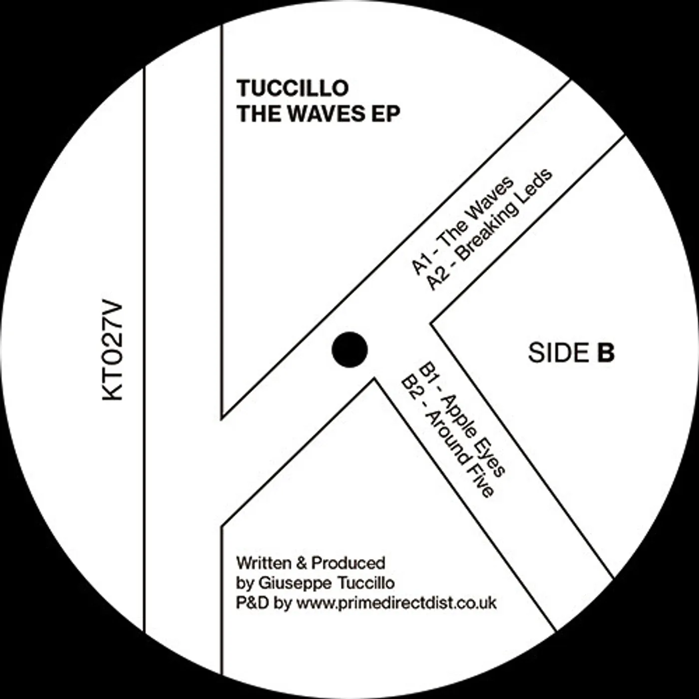 Tuccillo WAVES Vinyl Record