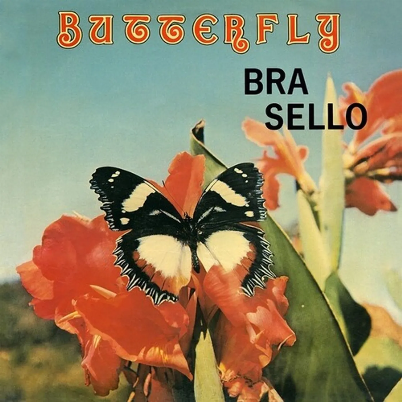 Bra Sello BUTTERFLY Vinyl Record