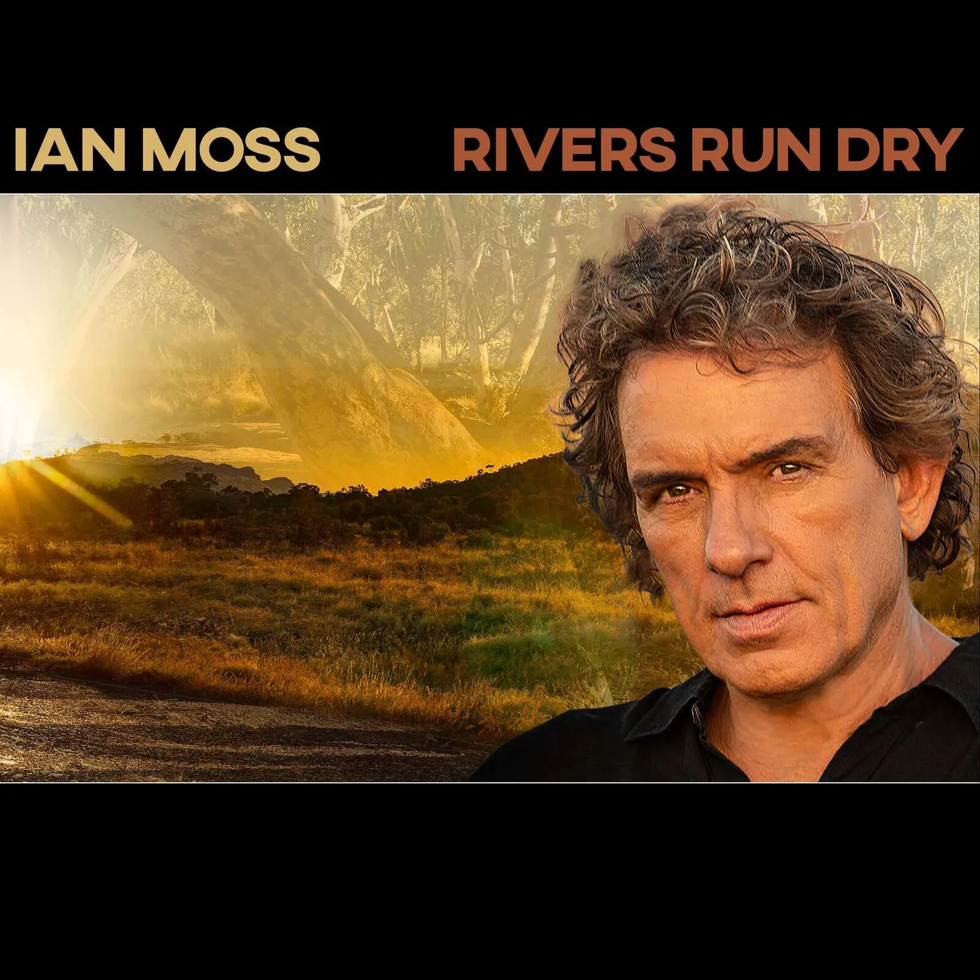 Ian Moss Rivers Run Dry Vinyl Record