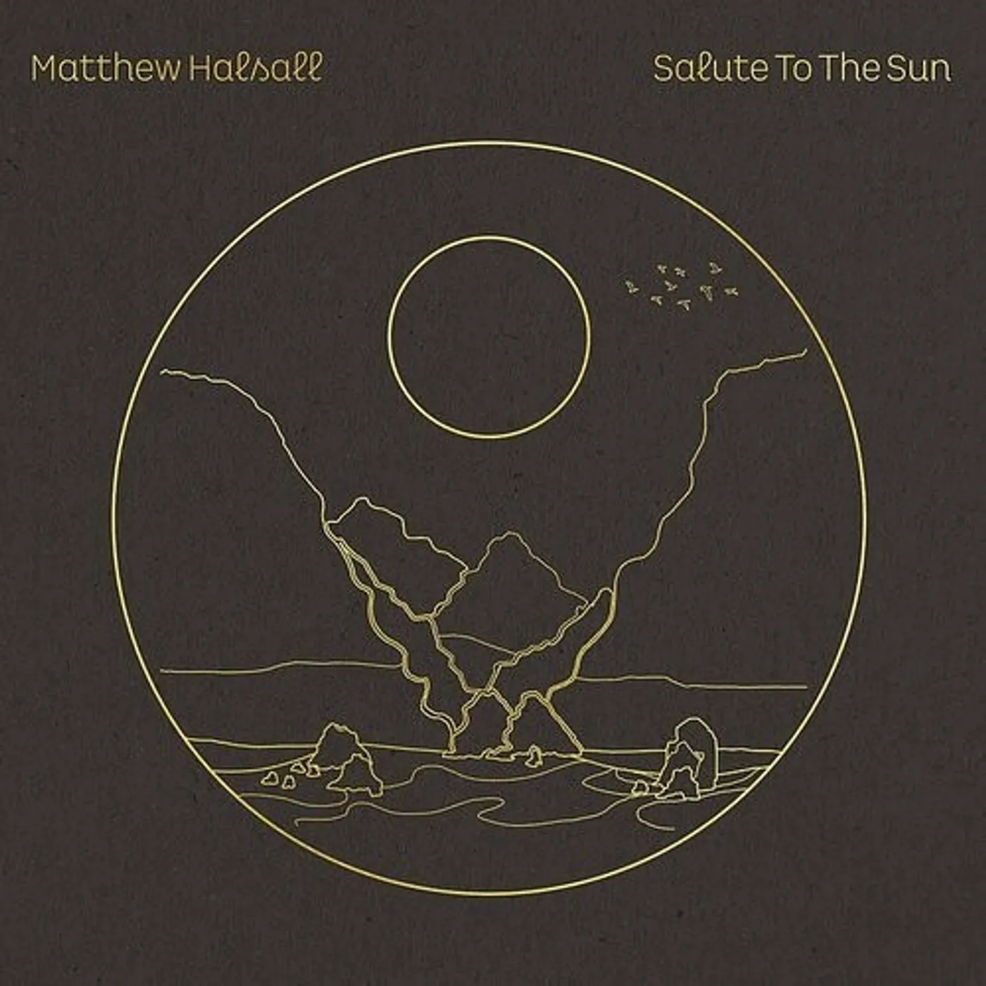Matthew Halsall Salute to the Sun Vinyl Record