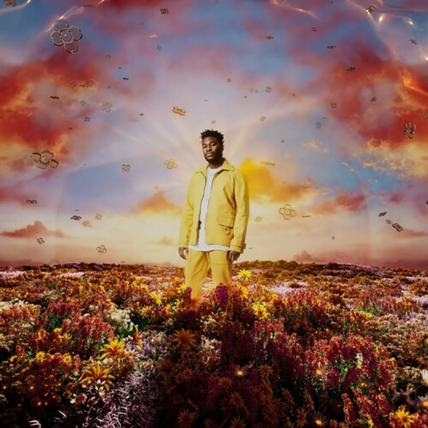 Nonso Amadi WHEN IT BLOOMS Vinyl Record