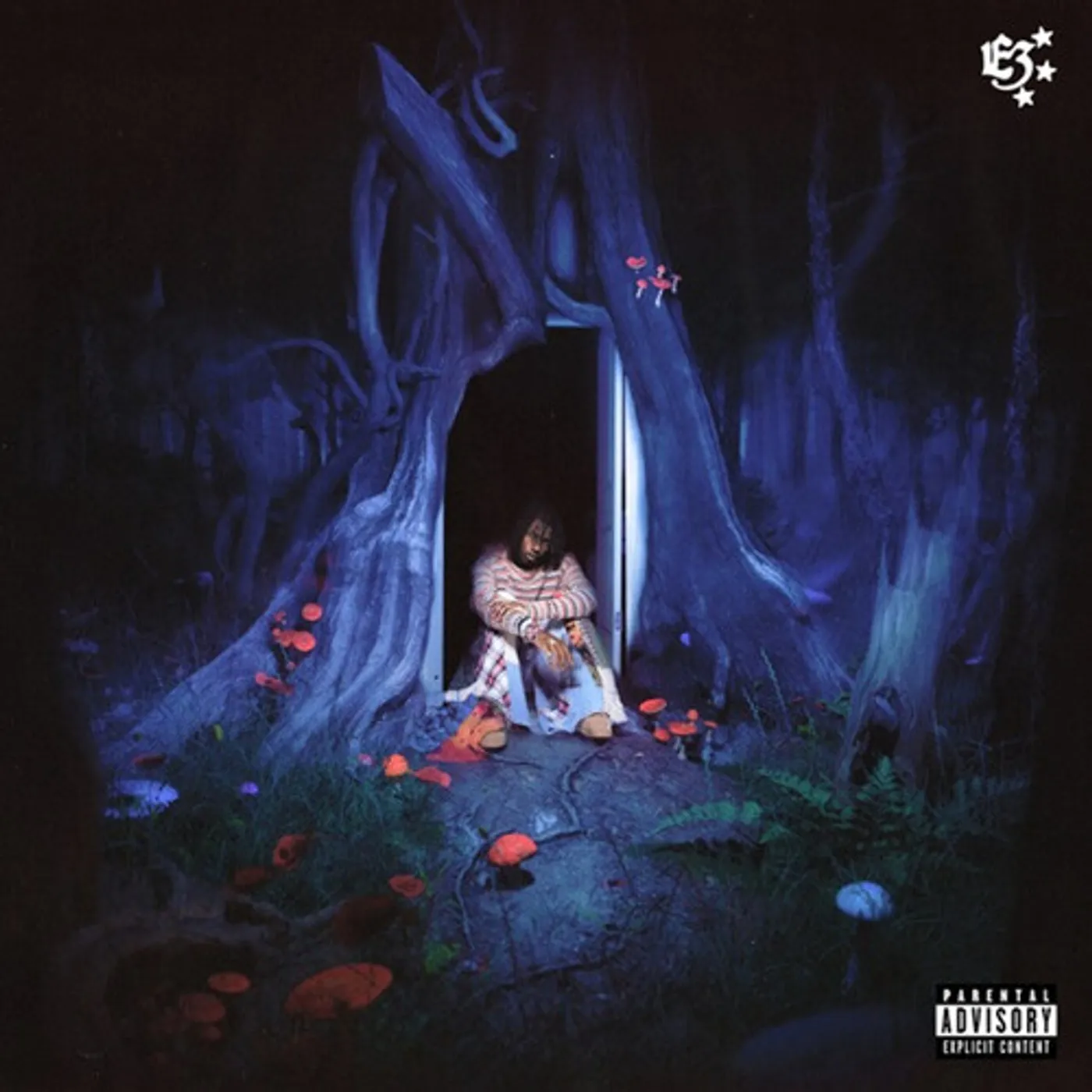 midwxst E3 Vinyl Record