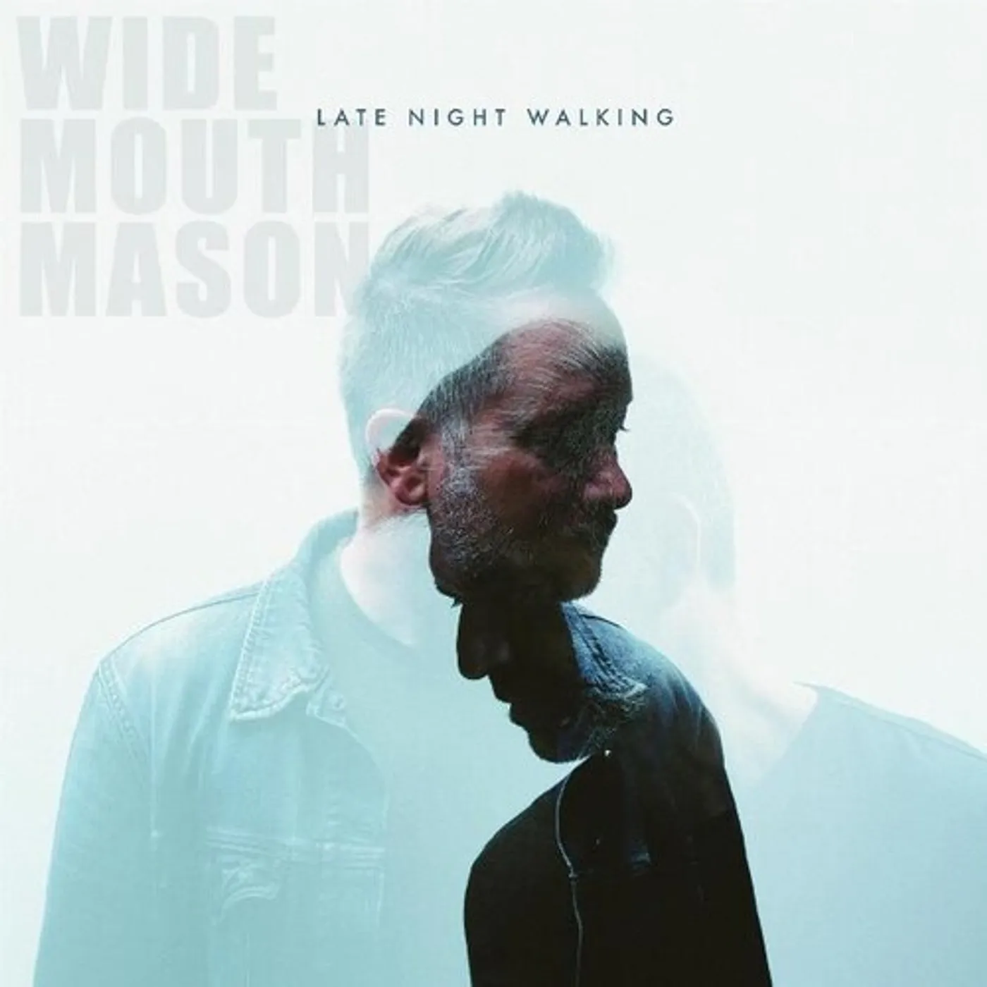 Wide Mouth Mason LATE NIGHT WALKING Vinyl Record