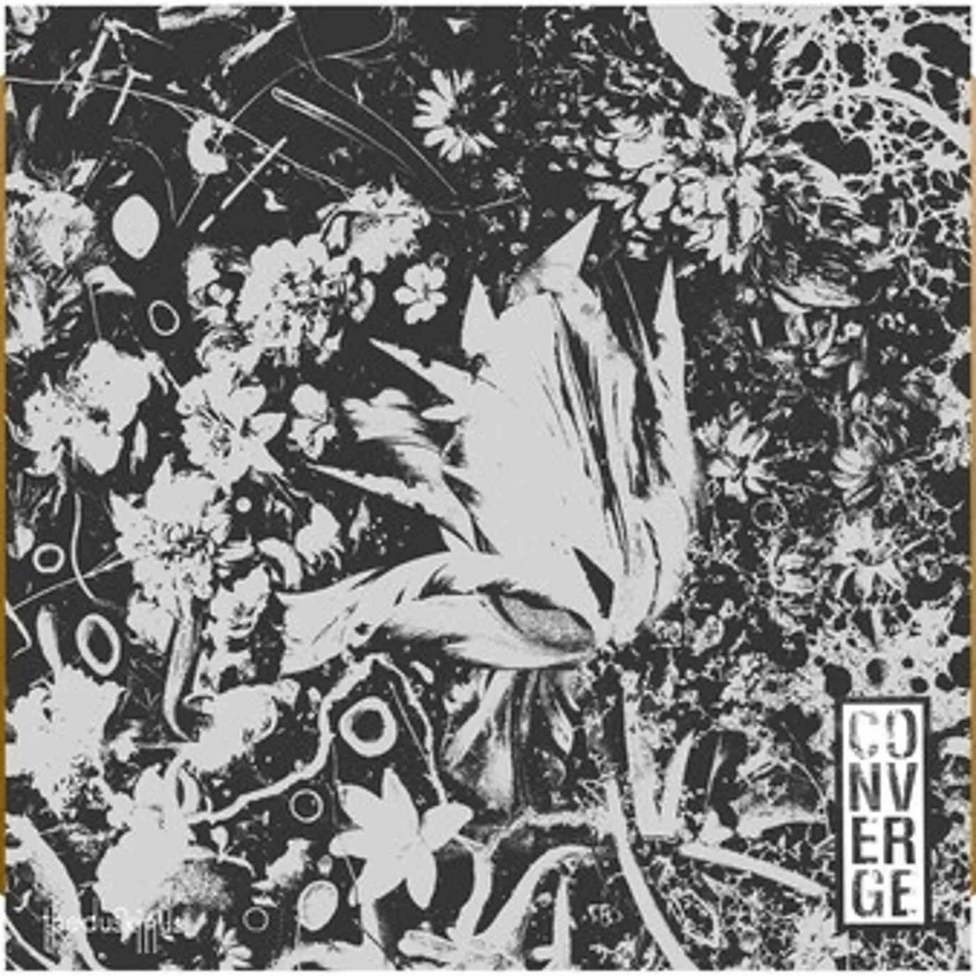 Converge DUSK IN US DELUXE Vinyl Record